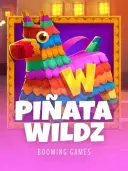 Piñata Wildz