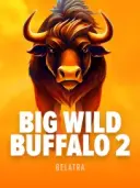 Big Wild Buffalo 2