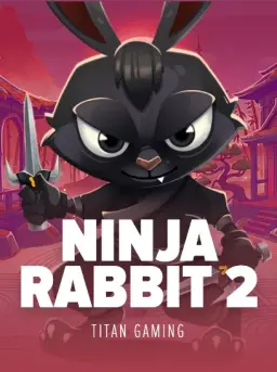 Ninja Rabbit 2