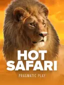 Hot Safari