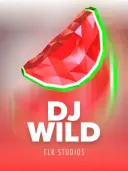 DJ Wild