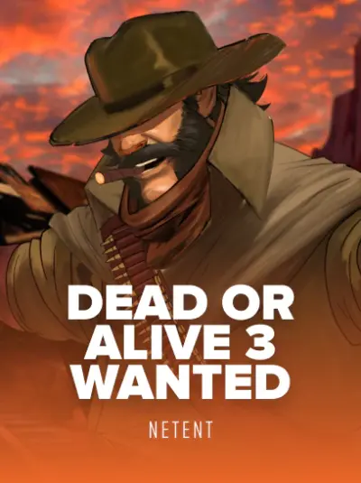 Dead or Alive 3: Wanted
