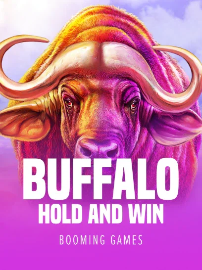 Buffalo Hold and Win
