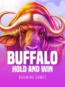 Buffalo Hold and Win