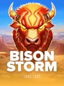 Bison Storm