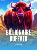 Billionaire Buffalo