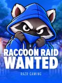 Raccoon Raid: Wanted