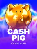 Cash Pig