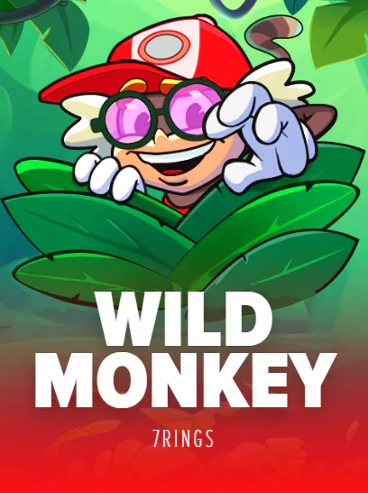 Wild Monkey