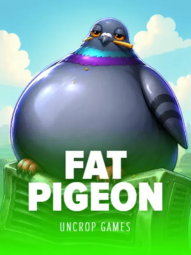 Fat Pigeon