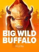 Big Wild Buffalo