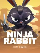 Ninja Rabbit