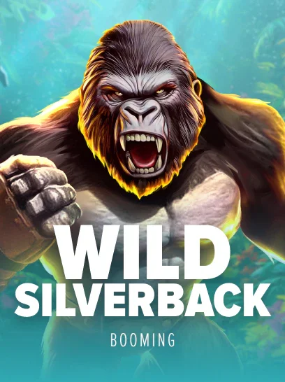 Wild Silverback