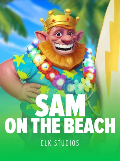 Sam on the Beach